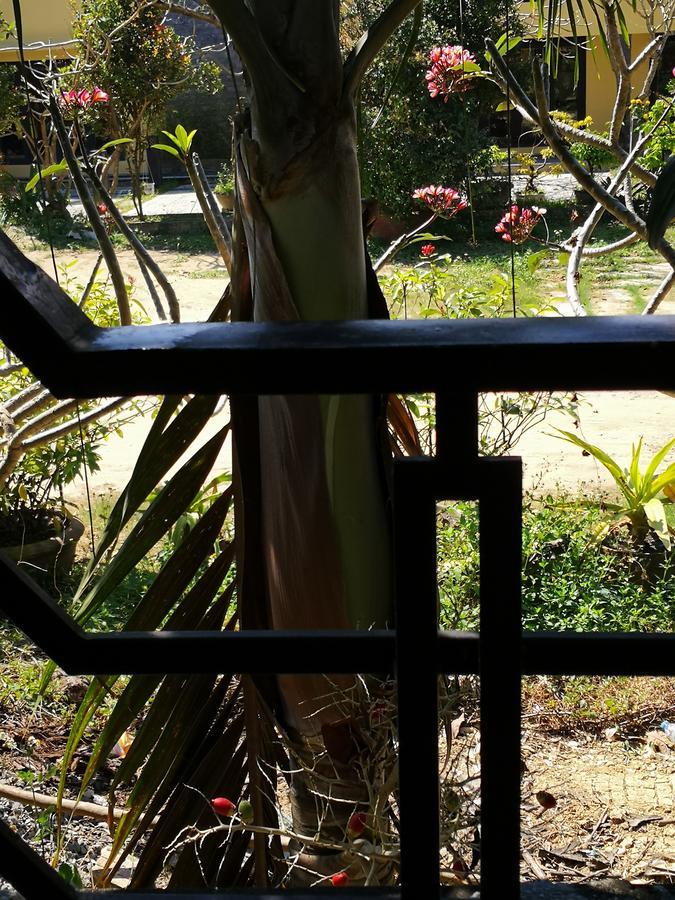 Cam Nam Homestay Hội An Extérieur photo